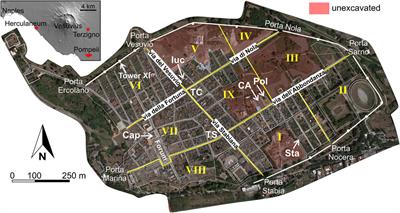 A novel view of the destruction of Pompeii during the 79 CE eruption of Vesuvius (Italy): syn-eruptive earthquakes as an additional cause of building collapse and deaths